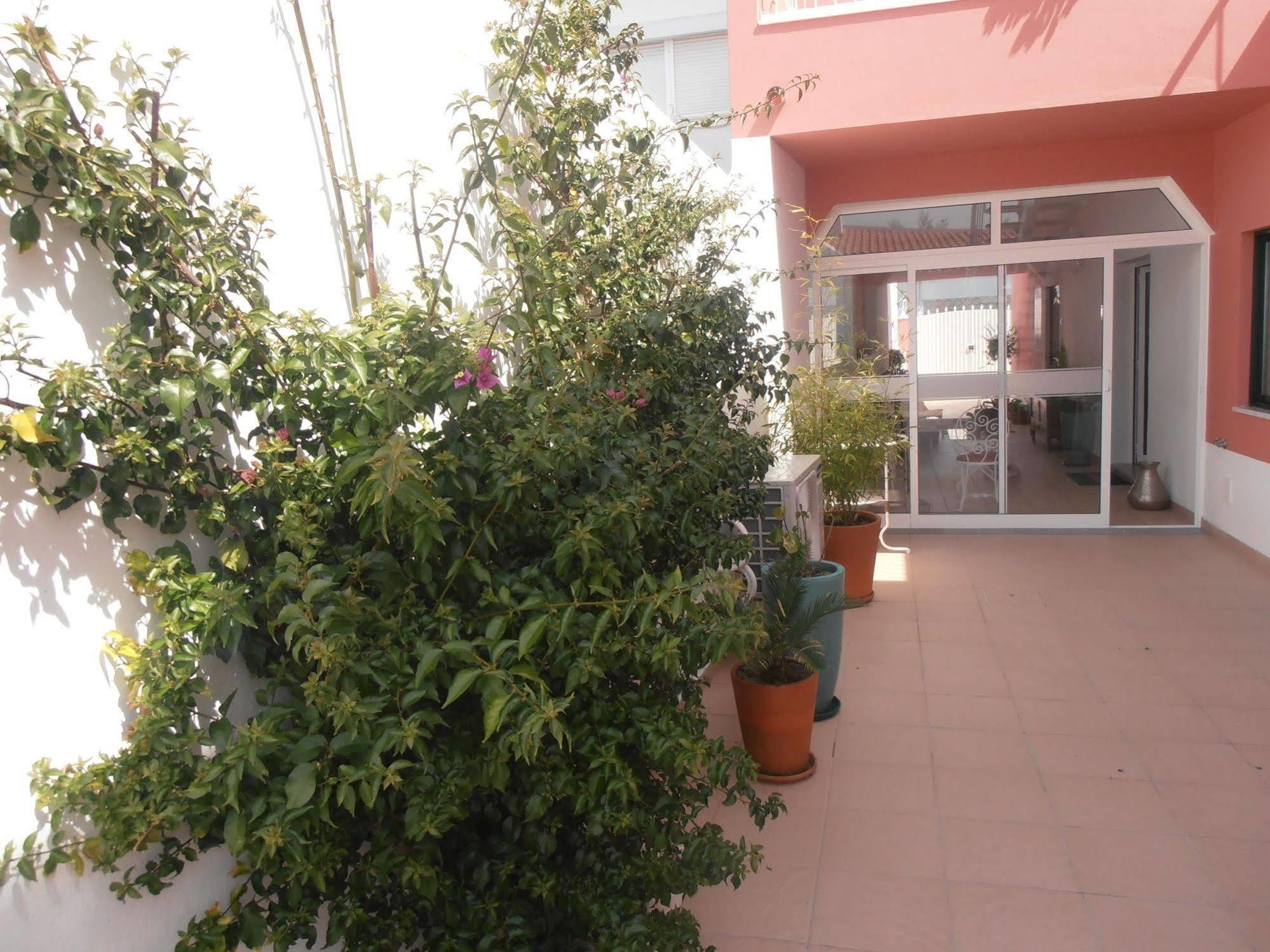 Casa Morgados - Grandola Guesthouse Ngoại thất bức ảnh